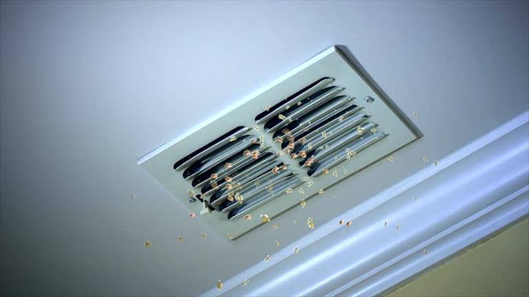 Best Residential Air Duct Cleaning  in Lake Junaluska, NC